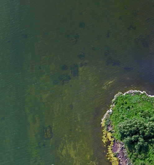 Aerial map of lake bottom looking for submerged objects such as logs, rocks, and other debris.